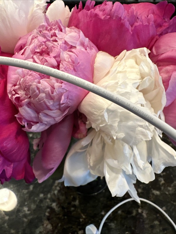 Apple Watch Magnetic USB Charging Cable Genuine gallery