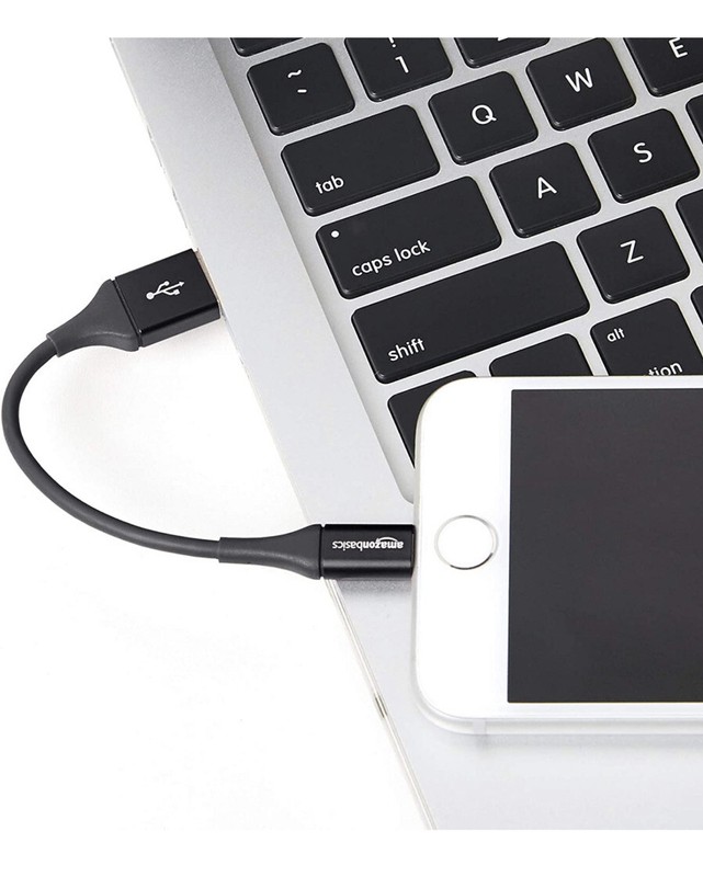 AmazonBasics 4in Lightning to USB Cable MFi Certified iPhone Charger – – -2 PACK