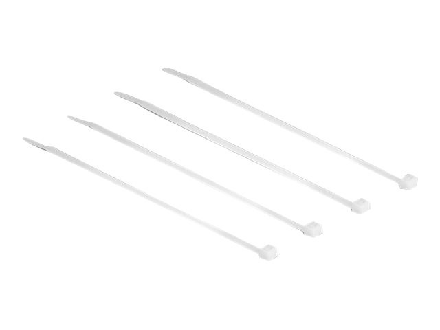 Delock 18605 Nylon 10cm 2.5mm 100pcs Cable Ties Clear L 100 x W 2.5mm