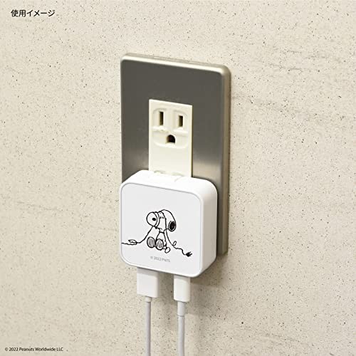 Gourmandise Peanuts USB/USB Type-C AC Adapter, White Snoopy SNG-718A gallery