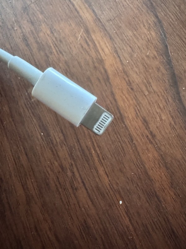 Apple Lightning to USB-C Cables - 4 Cables - FREE Shipping gallery