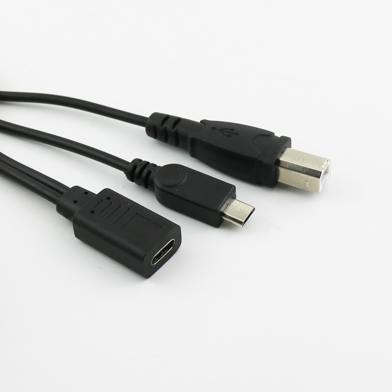 USB-C 3.1 Type C Female to Micro & USB 2.0 B Male Data Charge HDD Printer Cable gallery