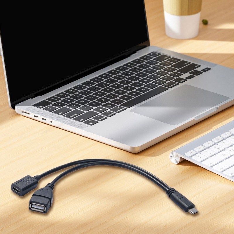Type C To USB OTG Adapter Cable For Sound Cards Live Broadcasting Wire with IC gallery