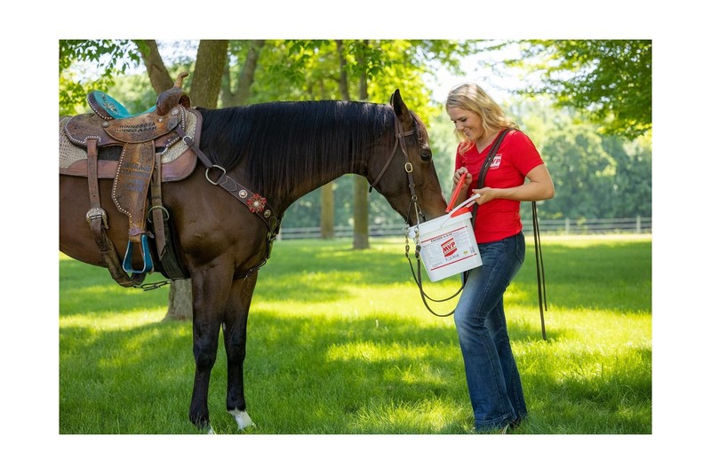 MVP Exceed 6-Way (8 lb) All in One High Level Performance Horse Support gallery