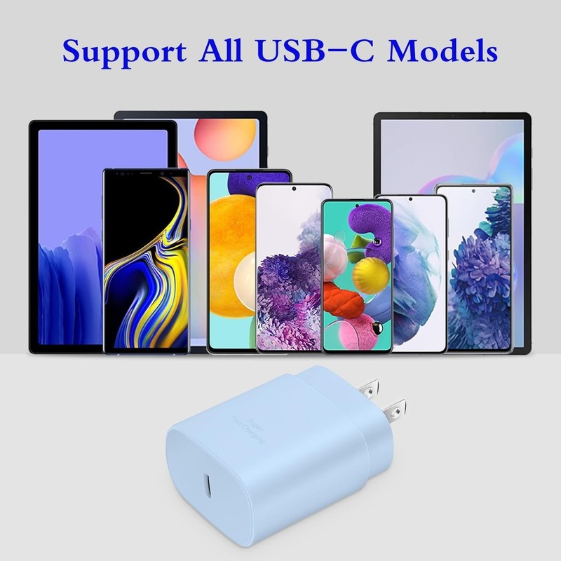 Superior Safety 25W Type C Fast Charger Duo with 6ft USB-C Charging Cable - Blue gallery