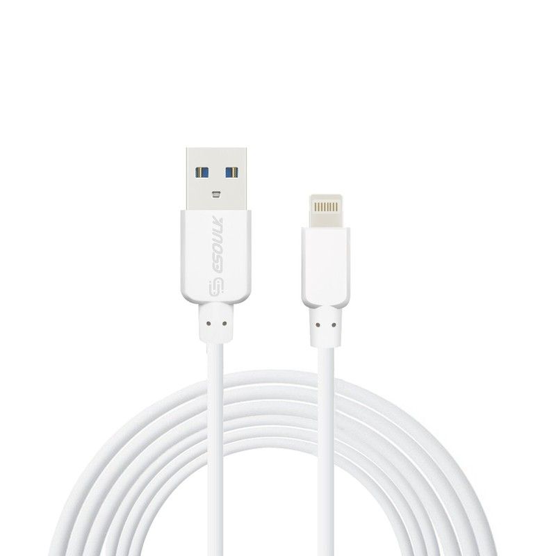5FT 8Pin to USB A Charging Cable Compatible with iPhone 14/13/Mini/12 Pro Max/XS