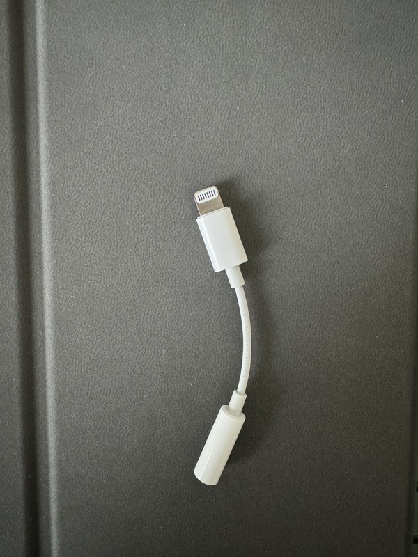Apple MD823ZM/A Lightning To 30-Pin Adapter - White