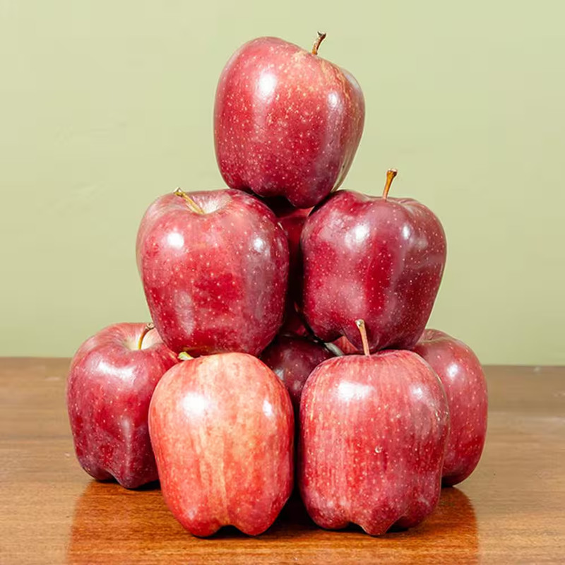 2 Ft. to 3 Ft. Red Delicious Apple Tree, Pink and White Blooms with Bright Red F gallery