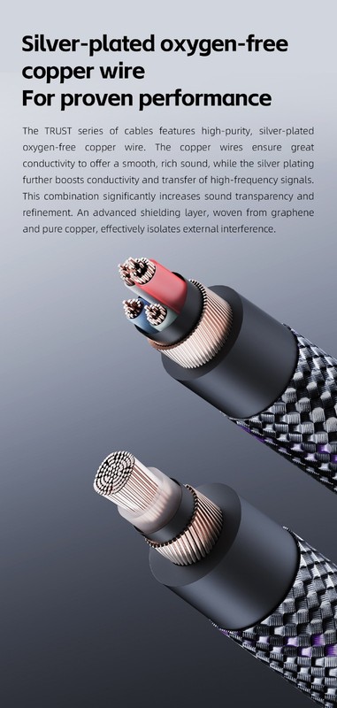 FiiO Trust USB-B to USB-C Type-C Audio Cable Silver Plated OFC HiFi DAC gallery