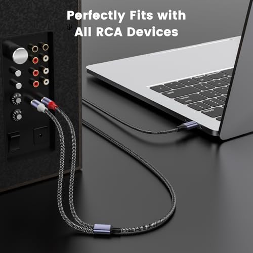 USB C to 2 RCA Audio Cable 3.3FT - Type C Male Y Splitter for Home Theater, TV, gallery