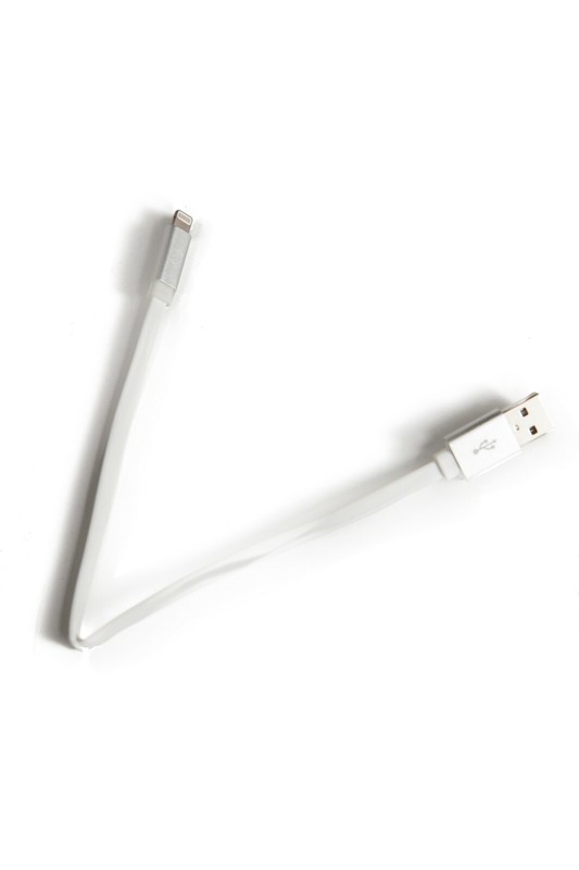 2 x Apple Lightning Charge & Sync 10 Inch Cable with LED Indicator gallery