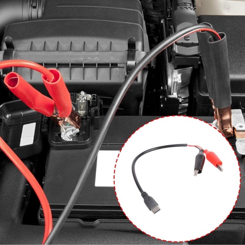 Test Detection Cable Type C Male to Double Alligator Clip for DIY Project