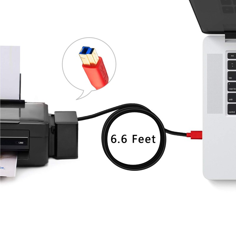 USB 3.0 A Male to B Male Cable 6FT Printer Hard Drive gallery