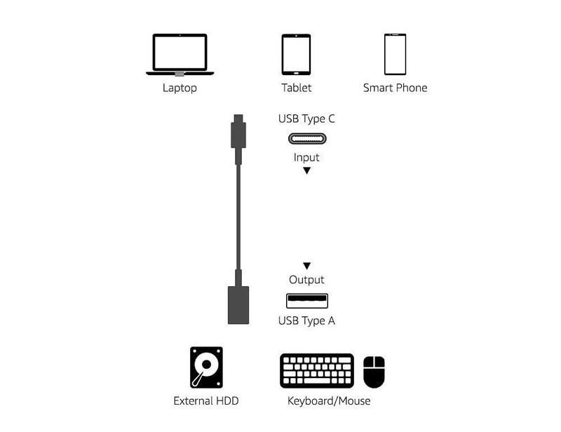Amazon Basics USB 3.1 USB-C to USB-A Female Adapter Cable Pack of 1, Black gallery
