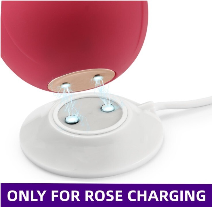 Adorime Rose Toy Charger, Adapter USB Magnetic Fast Charging Cable Cord for Rose gallery