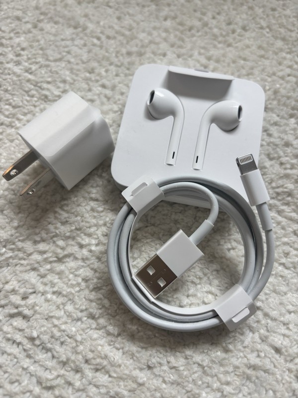OEM iPhone X Accessory Set Ear Buds Charging Cable And Block USB To Lightning