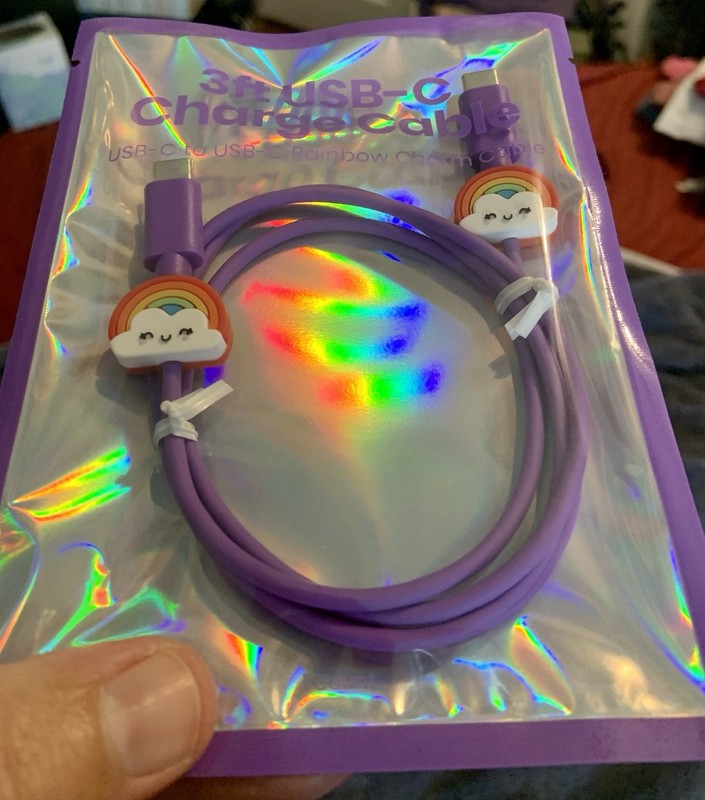 USB C to USB C 3ft Cable w/ Rainbow Charm. 60W Charging. 480 Mbps Data Transfer