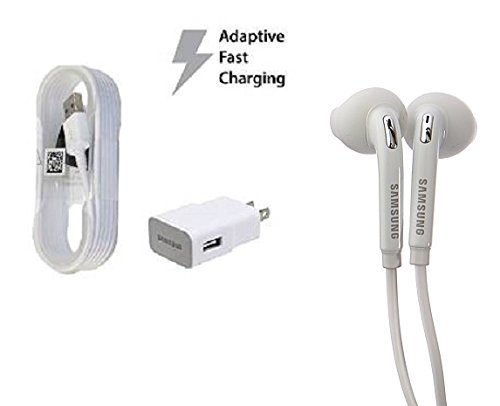 Samsung Fast Charger & USB-B Cable & Samsung Headphones Combo Pack (OEM)