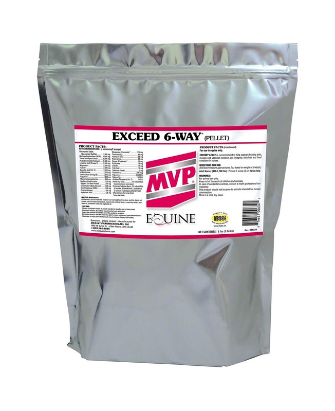 MVP Exceed 6-Way (8 lb) All in One High Level Performance Horse Support