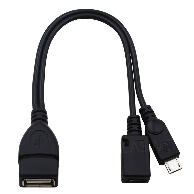 AuviPal 2-in-1 Powered Micro USB to USB OTG Adapter Cable for Firestick 4K, Sega gallery