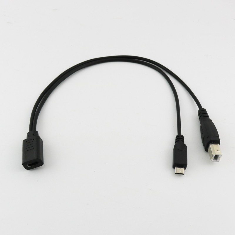 USB-C 3.1 Type C Female to Micro & USB 2.0 B Male Data Charge HDD Printer Cable