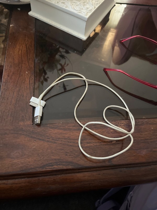 30 pin charger reusable
