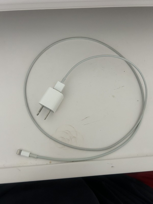 Apple Lightning Charger