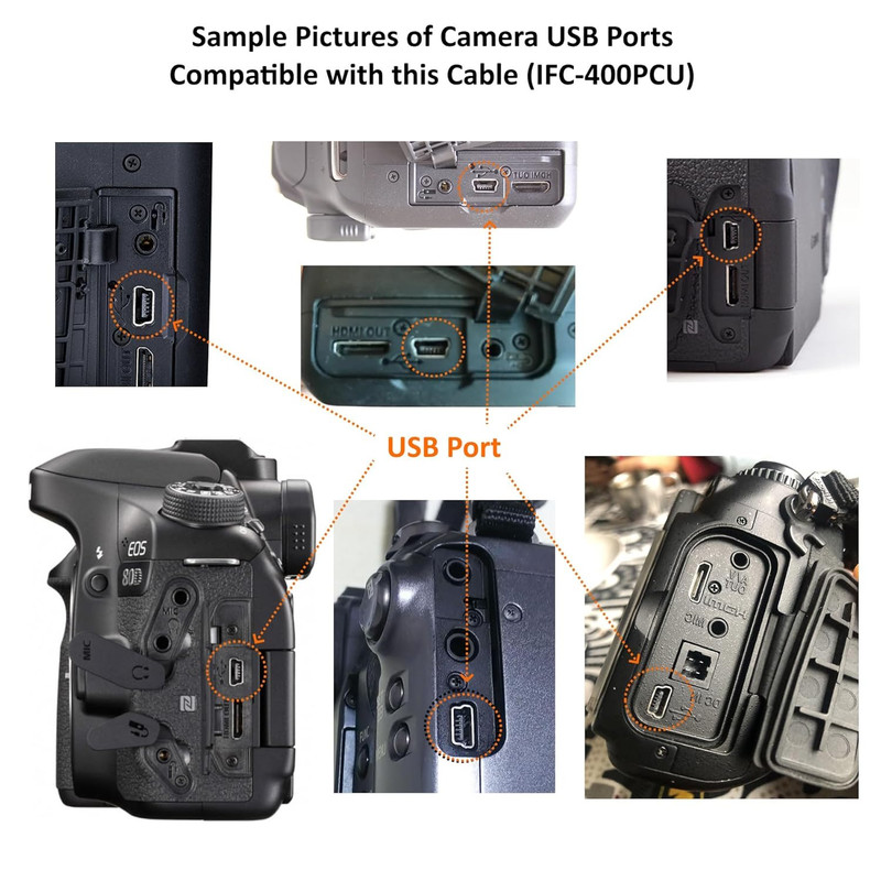 USB File Data Transfer Cable with USB-C Adapter for Select Canon Powershot, EOS gallery