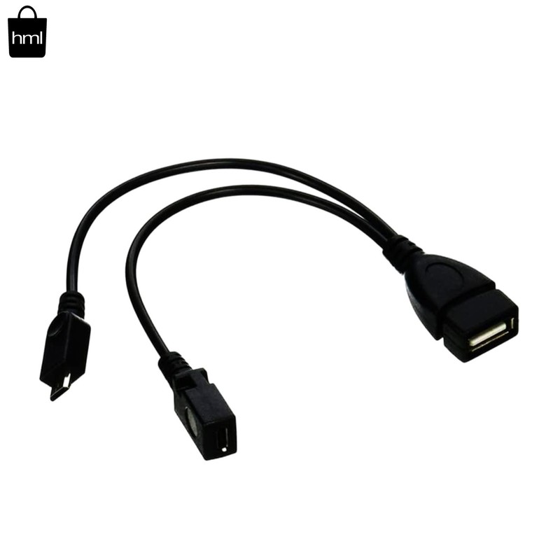 Streaming Companion: Micro USB OTG Cable for Nexus, Fire Stick & More, 0.65ft