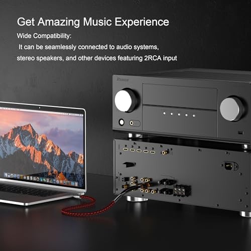 USB C to RCA Audio Cable 2.5FT - Type C to 2RCA Male Adapter for Home Theater, D gallery