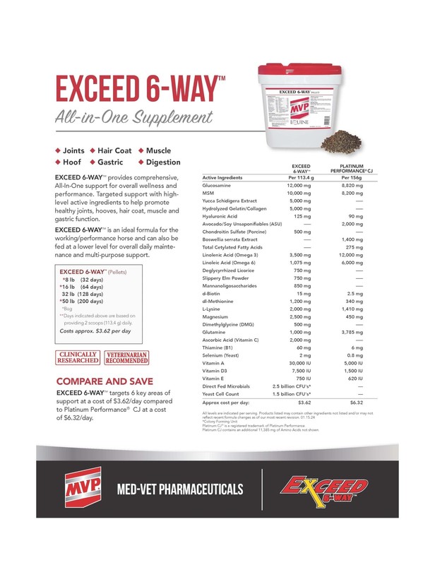 MVP Exceed 6-Way (8 lb) All in One High Level Performance Horse Support gallery