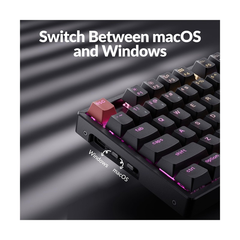 Keychron K8 Version 2 TKL Wireless Mechanical Keyboard, QMK/Launcher Bluetoot... gallery