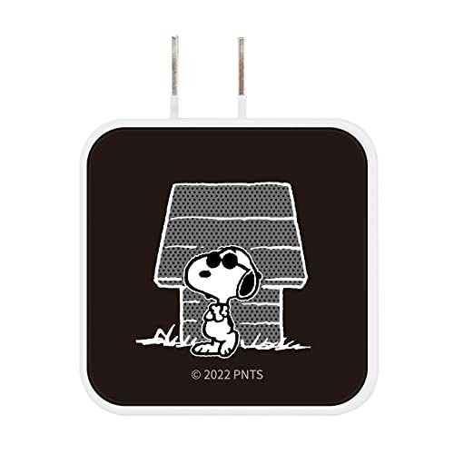 Gourmandise Peanuts USB/USB Type-C AC Adapter Joe Cool SNG-718B