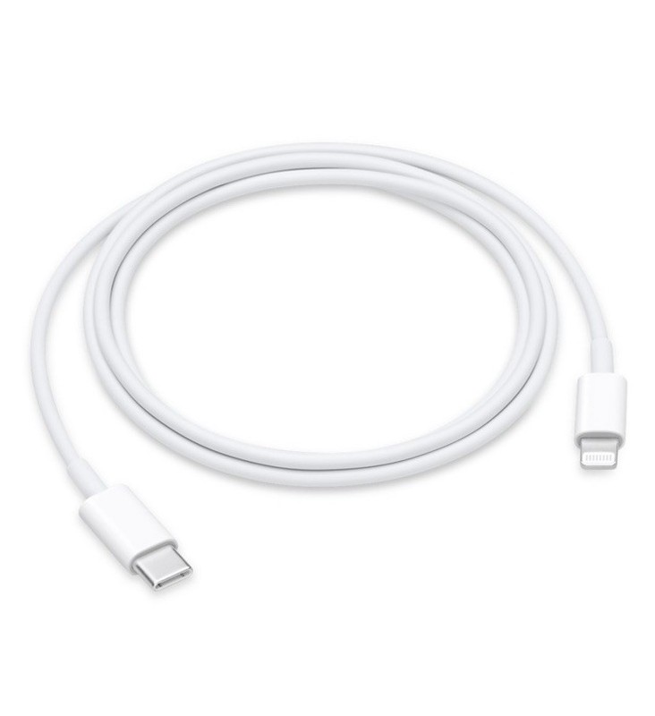 Apple Lighting to USB-C Cable 3-feet (1m) Charger