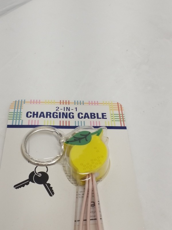 Orbit Innovations 2 in 1 Charging Cable USB USB-C & Micro USB CUTE Keychain NEW gallery