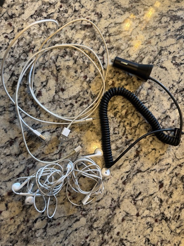 2 EarPods Lighting Connector & 2 USB With Lighting Connector Chargers