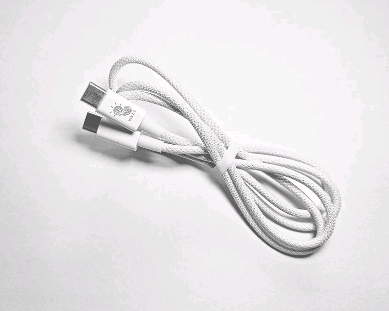 RLabs 60 Watt White USB Type C To Type C