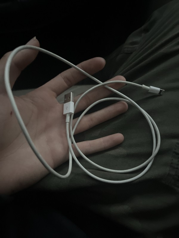 Apple MX0K2AM/A USB-C to Lightning Cable
